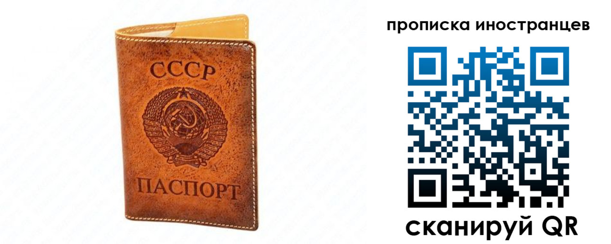 прописка для школы в Снежногорске